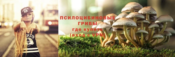 ALPHA PVP Инсар