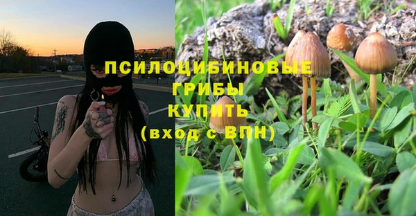 прущая мука Иннополис