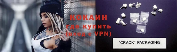 ALPHA PVP Инсар