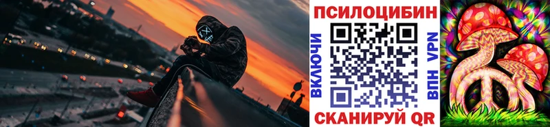 Купить где  Иланский  Галлюциногенные грибы Psilocybe 